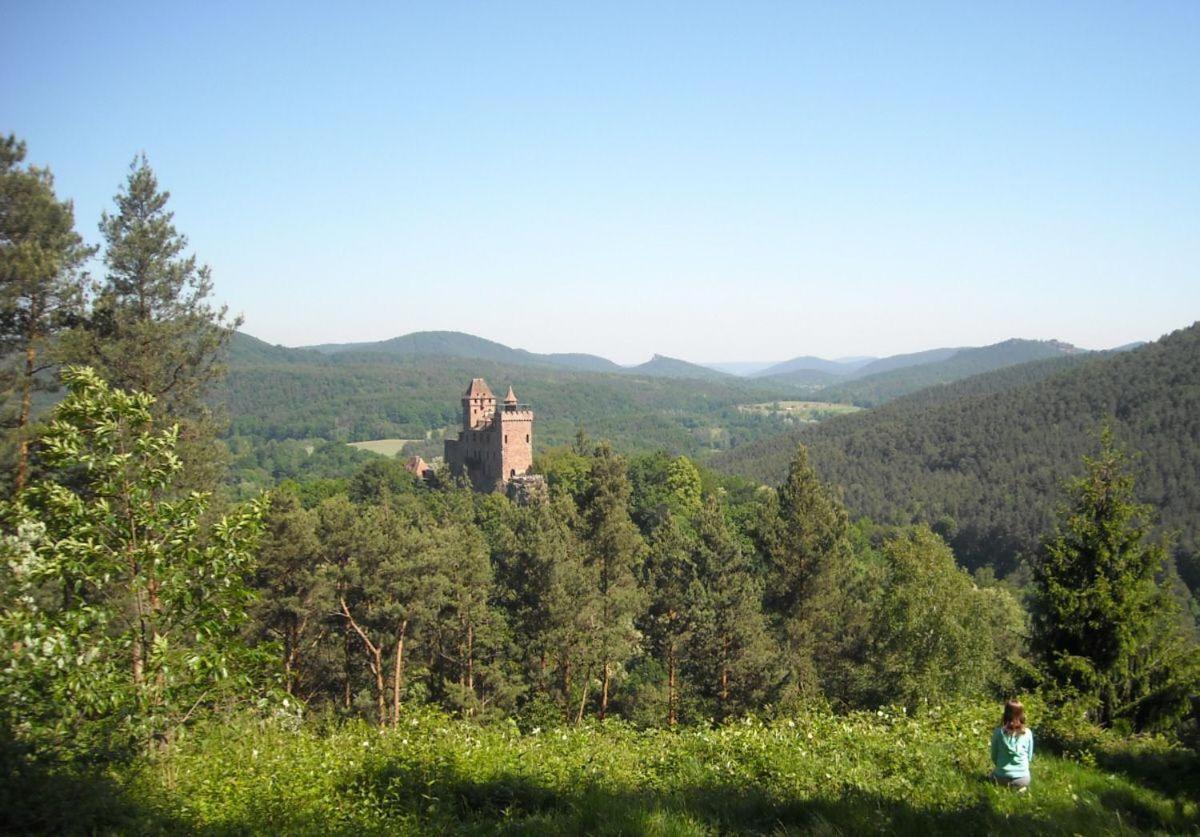 Ferienwohnung "Monte Noble" Suedpfalz Erlenbach  المظهر الخارجي الصورة