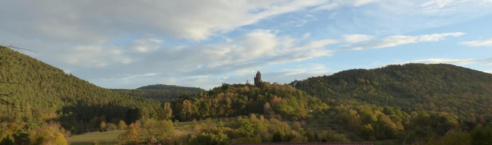 Ferienwohnung "Monte Noble" Suedpfalz Erlenbach  المظهر الخارجي الصورة