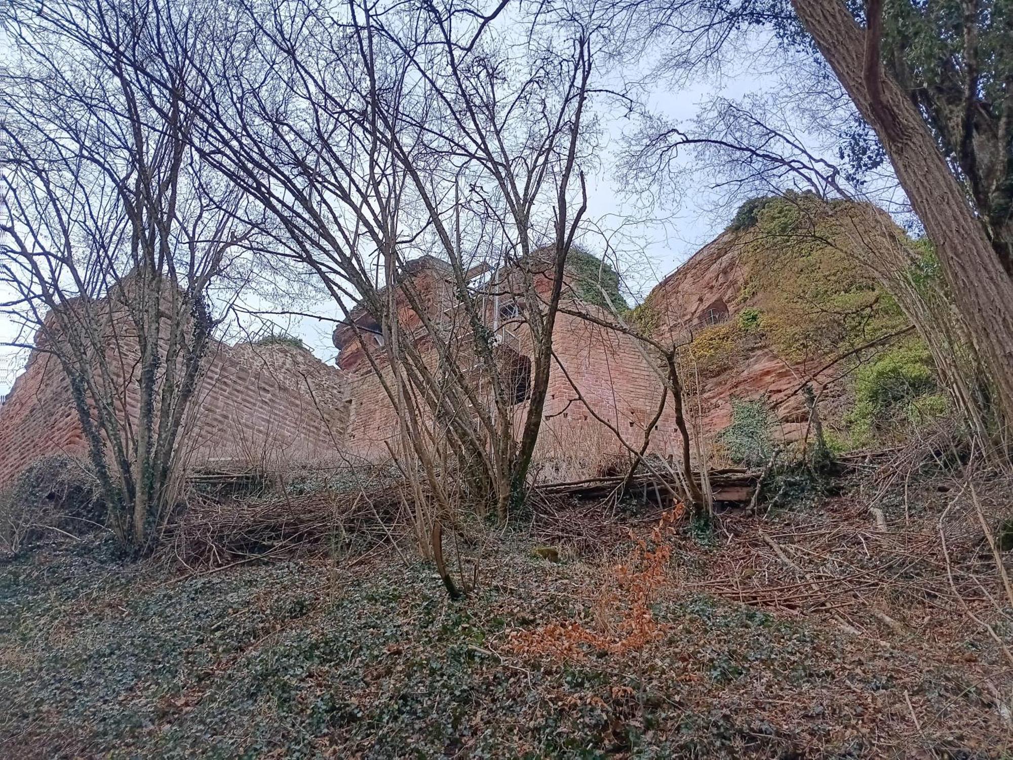 Ferienwohnung "Monte Noble" Suedpfalz Erlenbach  المظهر الخارجي الصورة